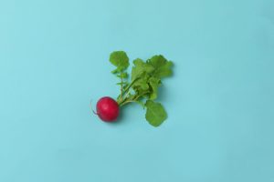 Kompaktkurs Existenzgründung: Von der Idee zum Geschäftsmodell.